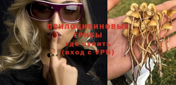 метадон Бородино