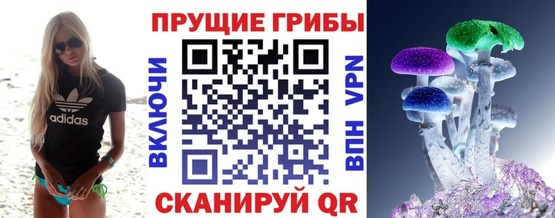 Купить где  Полярные Зори  Галлюциногенные грибы ЛСД 